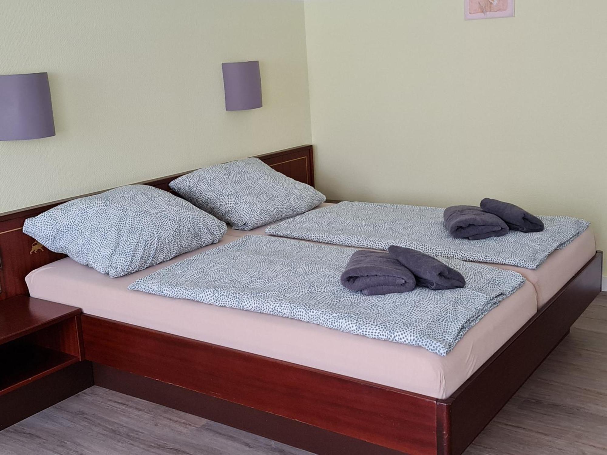 Hotel Goldener Loewe Zeulenroda-Triebes Ngoại thất bức ảnh